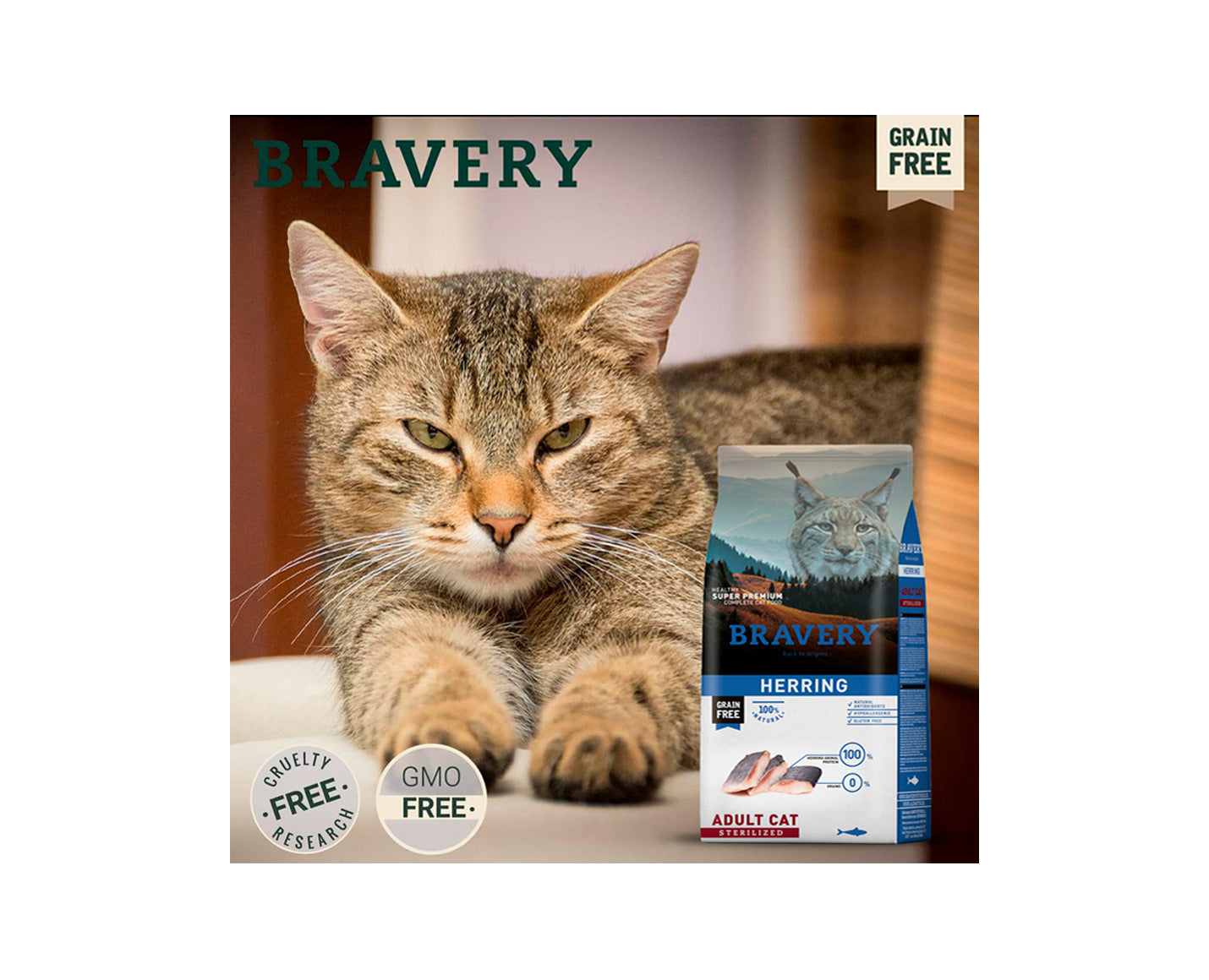 Alimento bravery herring