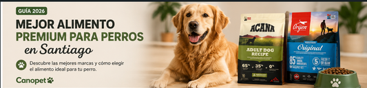 Cual es el mejor alimento premium para perros