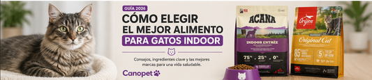 ¿Cómo elegir el mejor alimento para gatos indoor?