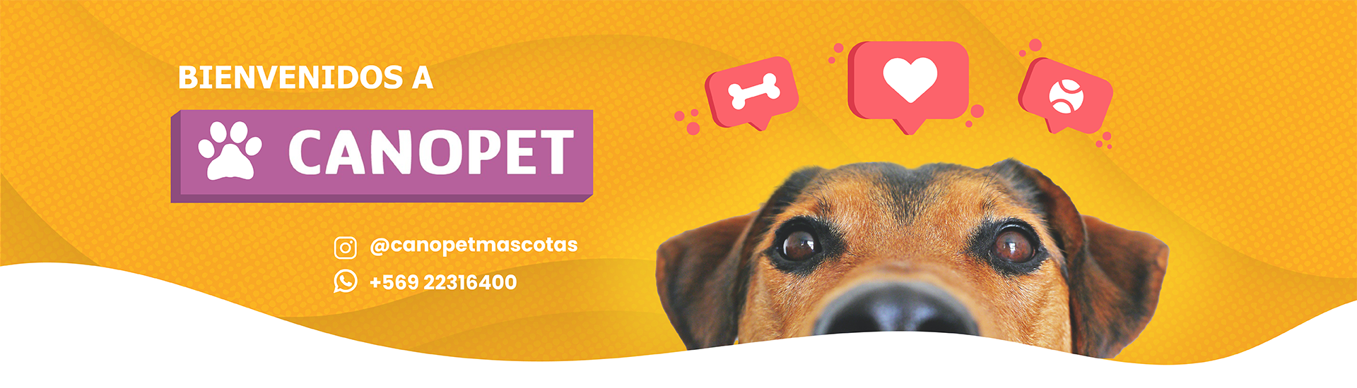 Comida para perros y gatos